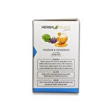Herbal Palace Enginar-Devedikeni Bal-Bitki Karışımı 230 gr x 2 Adet